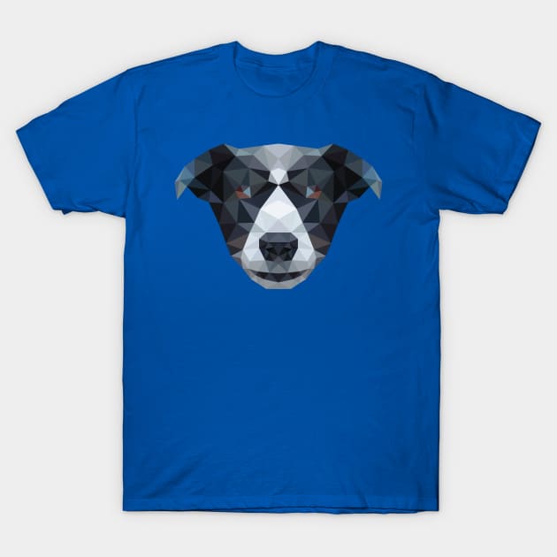 Border Collie T-Shirt by MKD